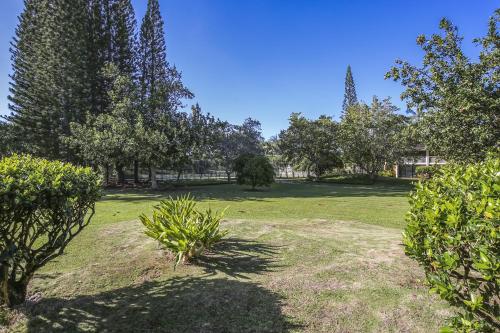 Paniolo Condo - image 8