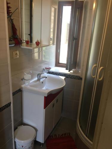Guest House Alea - image 4