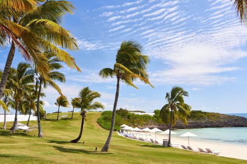 The Cove Eleuthera