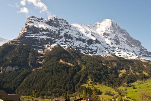 Hotel Bernerhof Grindelwald - image 2