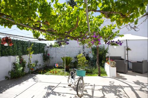 Il Segnalibro B&B - Accommodation - Alberobello