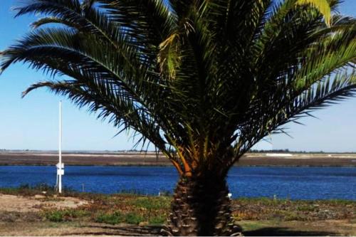 Kingfisher by the river - self catering, Velddrif (foto 6)