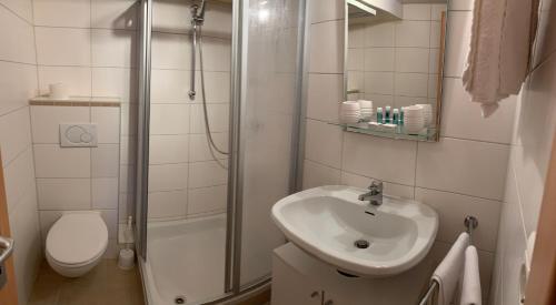 zum weißen Ross - image 7