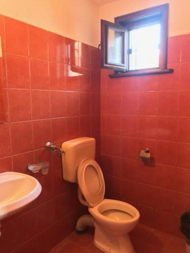 Guest House Gergana photo