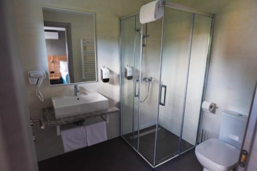 Hotel Subcarpati - image 7