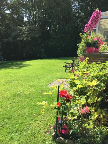  B&B Brussels South in Beersel