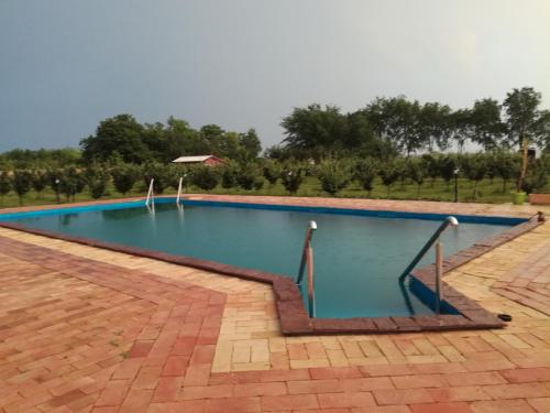 Úszómedence, Camp Salaš Farma 47 Čenej (Camp Salas Farma 47 Cenej) in Čenej