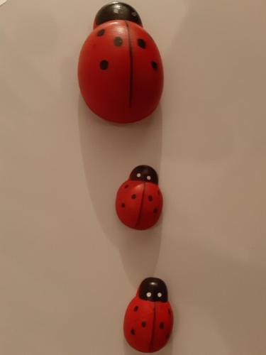 Apartman Ladybug - image 2