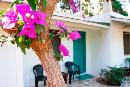 myndos bed & breakfast - image 6