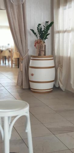 Hotel terme di orte in Orte