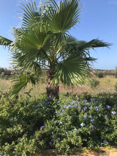 Finca El Idilio