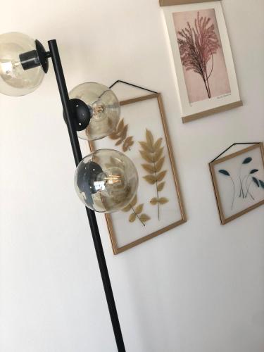 JACARANDA II Appartement