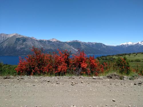 TU RINCON EN LA PATAGONIA