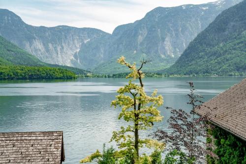 Apartment with Lake View