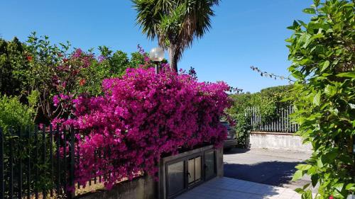 Bilocale Maratea gîte à louer Porto di Maratea