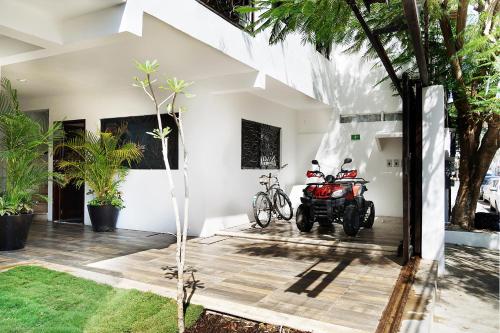 Red Panda Hostal in พลาย่า เดล ตาร์เมน