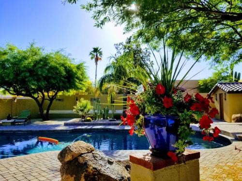 Private, Quite Casita , N. Scottsdale area,Private Pool & Patio, Cave Creek Az. - Apartment - Cave Creek