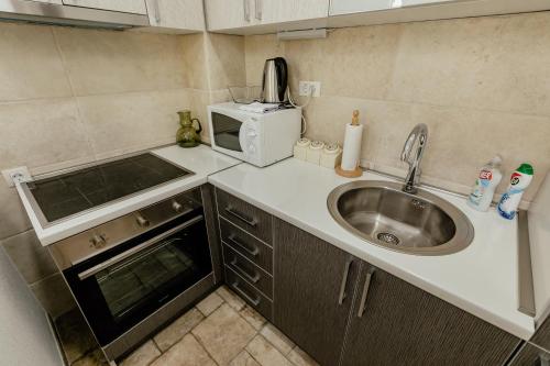 Konyha, Bobana Apartments in Kostanjica