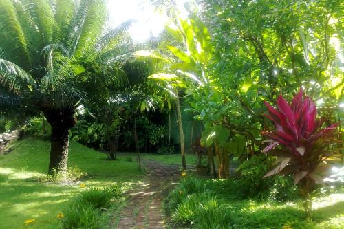 Pousada Dos Artistas – Praia do Forte, MI