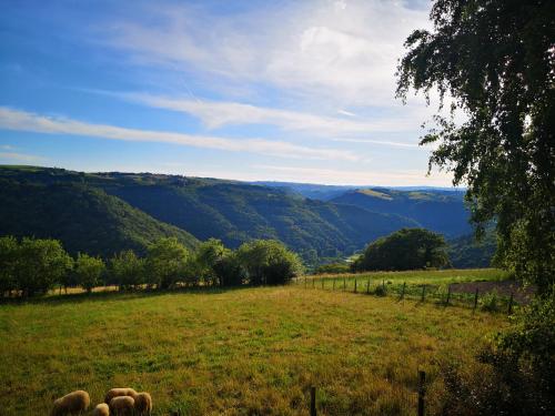 Maison tout confort calme vallee du Lot proche de Conques en Aveyron in Grand-Vabre