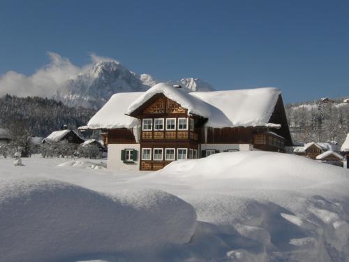 Haus Sonja - Apartment - Altaussee