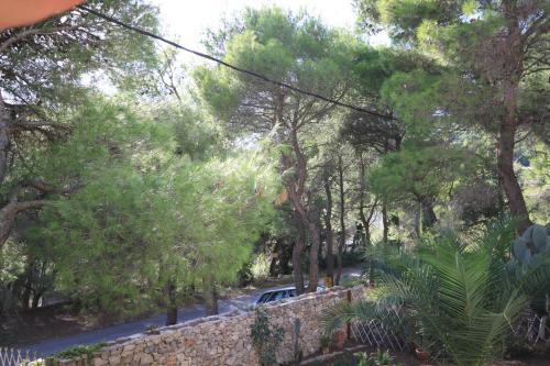Apartment Rukavac 2407a Vis