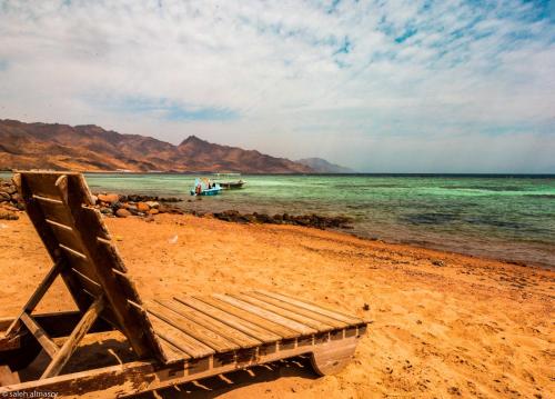 Beit Theresa - صورة 5