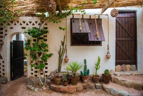 Beit Theresa - صورة 4