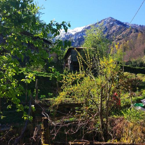 Begi Apart Bungalov - Tap to explore photos