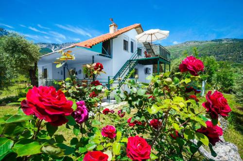 Villa OTAVIA gîte à louer Koínyra