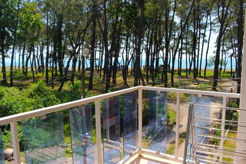 New Wave1 in Grigoleti