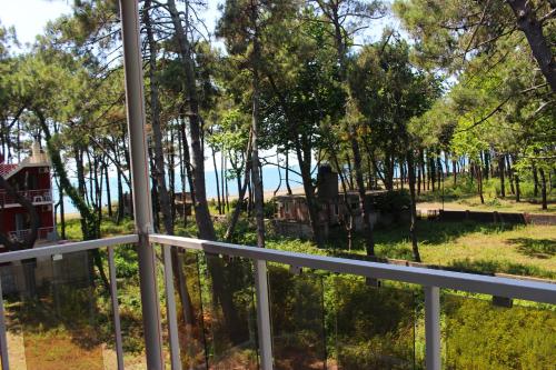 New Wave1 in Grigoleti