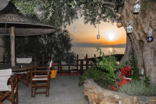 Studios Plaka in Skala Kallirachis