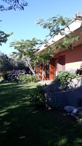 El Rincon del Artista - image 6