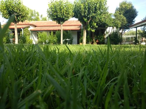 Guest accommodation in Sivota 