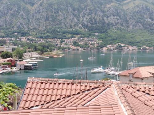 New renovated Old Town Martiva Apartment in Kotor