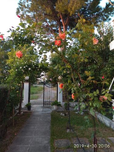  Holidays apartment near the beach, Unterkunft in Kamena Vourla