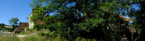 Roquedure Farm photo 16