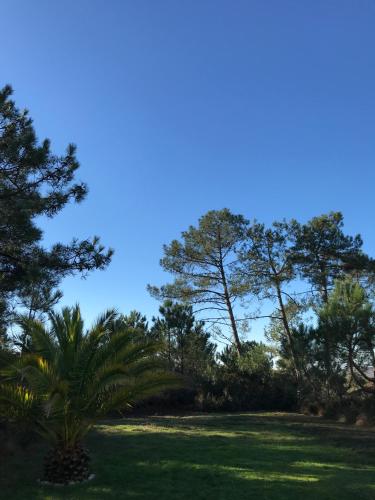 Maison architecte Bois du Kador à Morgat (accès WIFI) Crozon Morgat