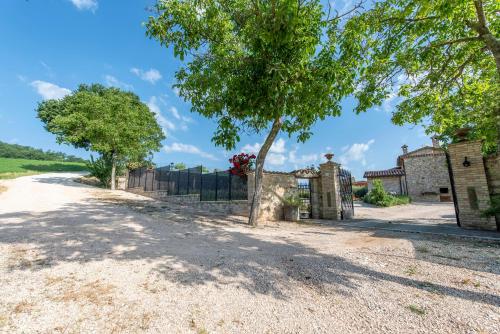 Todi Truffle in Todi
