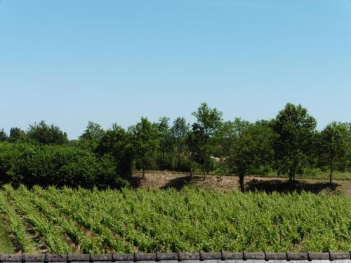 Gîte Chemin des Prés r de Pré Vert