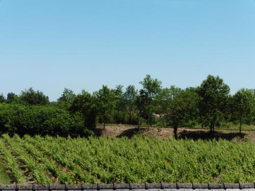 Gîte Chemin des Prés r de Pré Vert (Gite Chemin des Pres r de Pre Vert) in Les Lutinieres