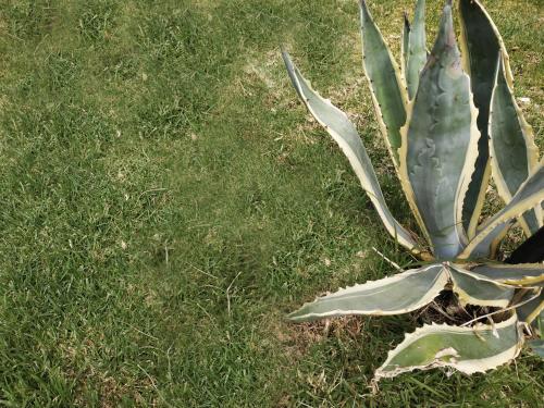  Cozy Beach House in Kandia in Kandia