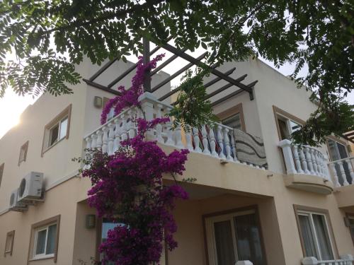  Bodrum Turquoise Resort in Bogazici