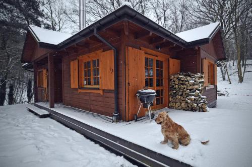 Domek na Stoku, Kazimierz Dolny