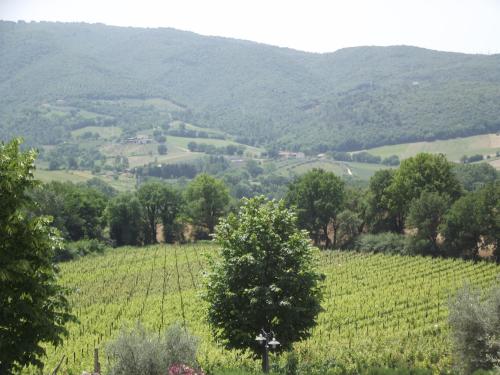 Agriturismo Regno Verde - image 11