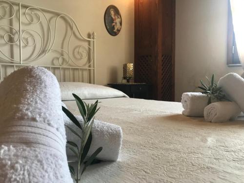 Tenuta Avolicino gîte à louer Santa Domenica Talao