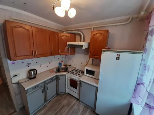 Apartments Uyt on Chkalova - image 4