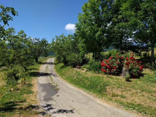 Serenella B&B, Sestola (foto 8)