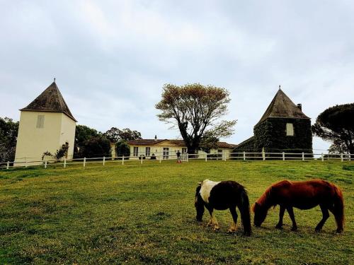 La Jouissiere gîte à louer Escoussans
